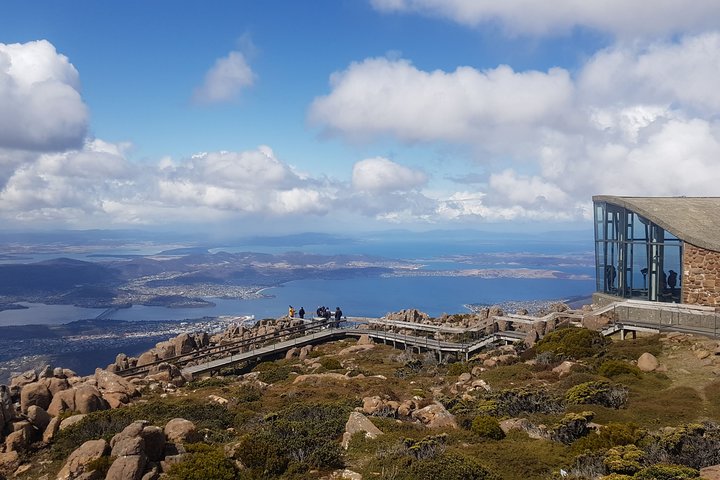 Mt. Wellington Morning Hike + Afternoon Beer & History Walk