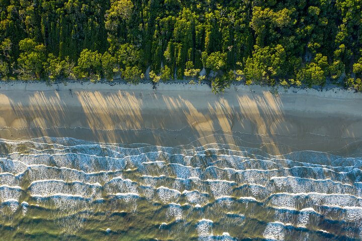 Full-Day Daintree Cape Tribulation Waterfall Hike with Gourmet Lunch and Swim