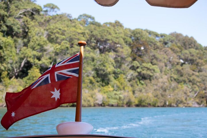Relaxing Eco Friendly Electric Boat Cruise on the Noosa River