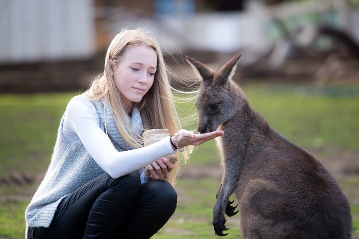 Hobart Local: All Inclusive Day Tour