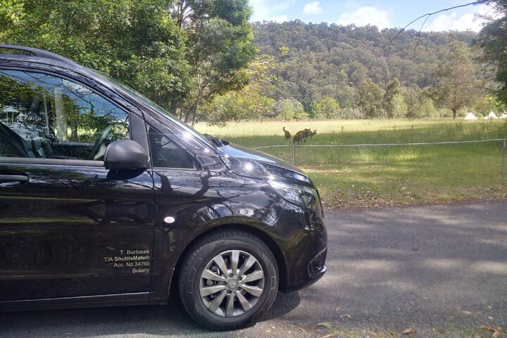 Private Minivan Transfer FROM Sydney CBD/Downtown to Sydney Airport 1-7 people