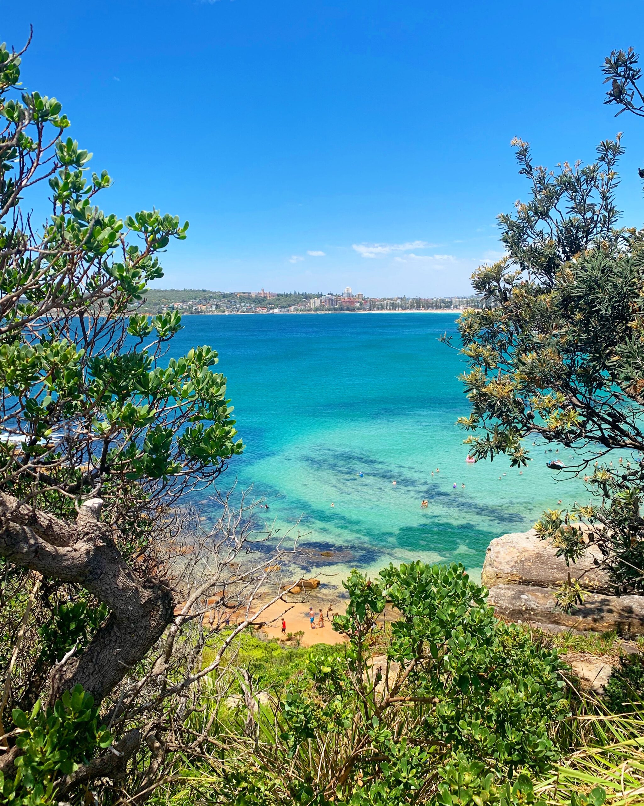 SYDNEY NORTH COAST TOUR