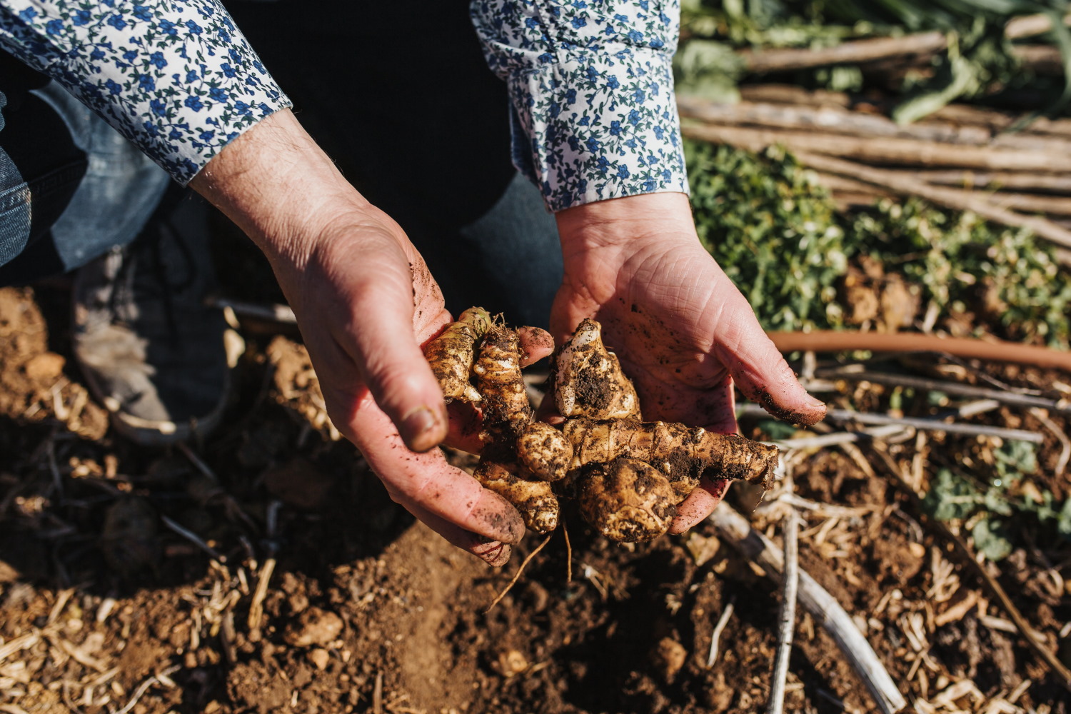 Six Senses Farm Tour, Degustation Dinner with Matched Wines or Mocktails