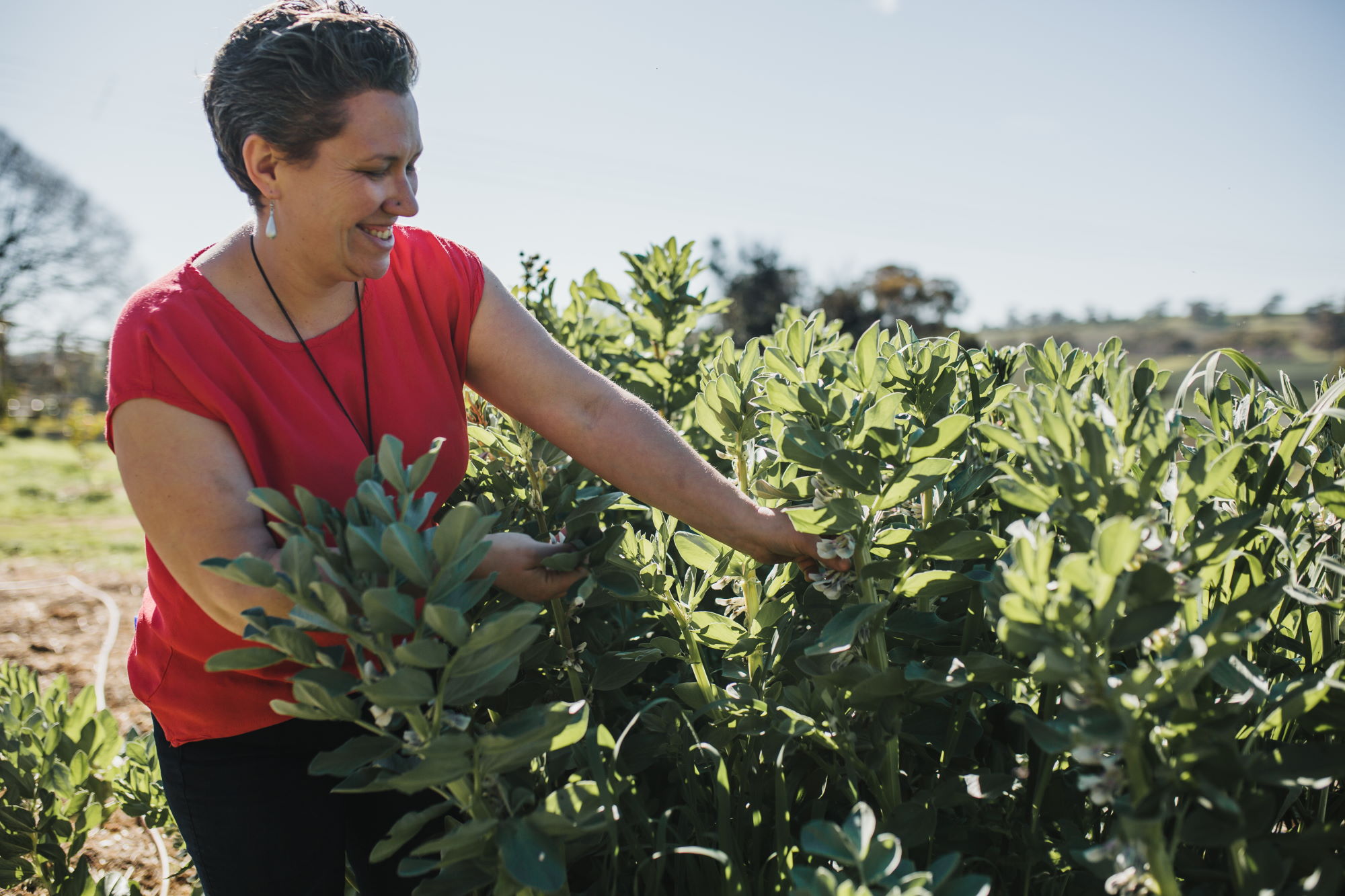 Six Senses Farm Tour, Degustation Dinner with Matched Wines or Mocktails