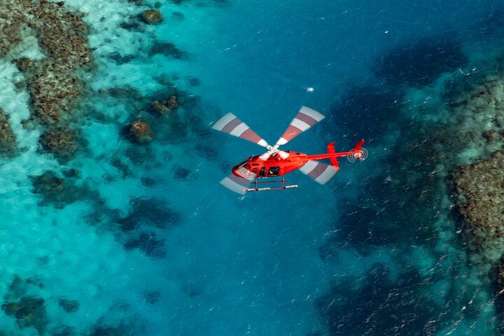 Ultimate Great Barrier Reef and Rainforest 45-minute Helicopter Tour