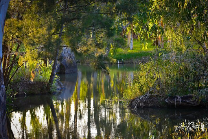 Tablelands & Kuranda Rainforest Adventure Tour with Lunch & Swim