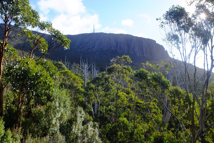 Mt. Wellington Morning Hike + Afternoon Beer & History Walk