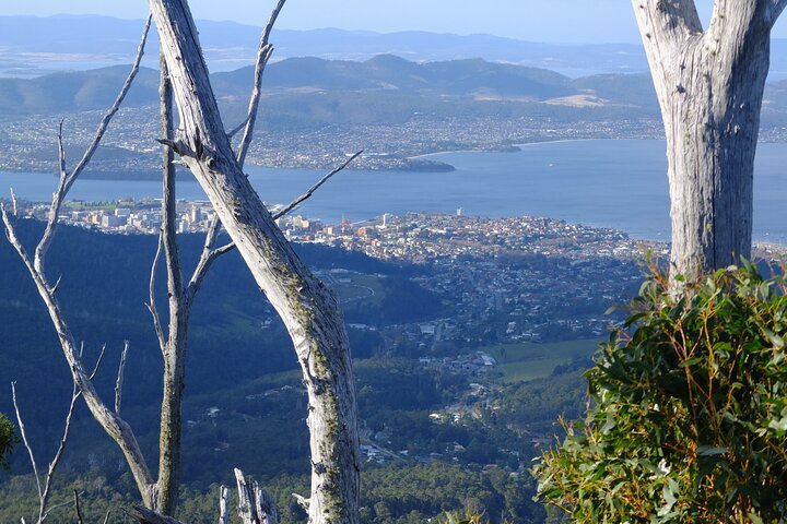 Mt. Wellington Morning Hike + Afternoon Beer & History Walk