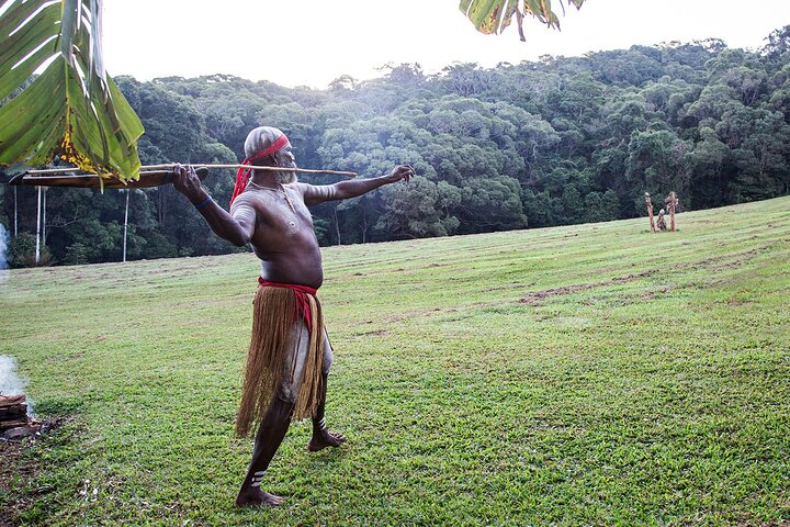 Tablelands & Kuranda Rainforest Adventure Tour with Lunch & Swim