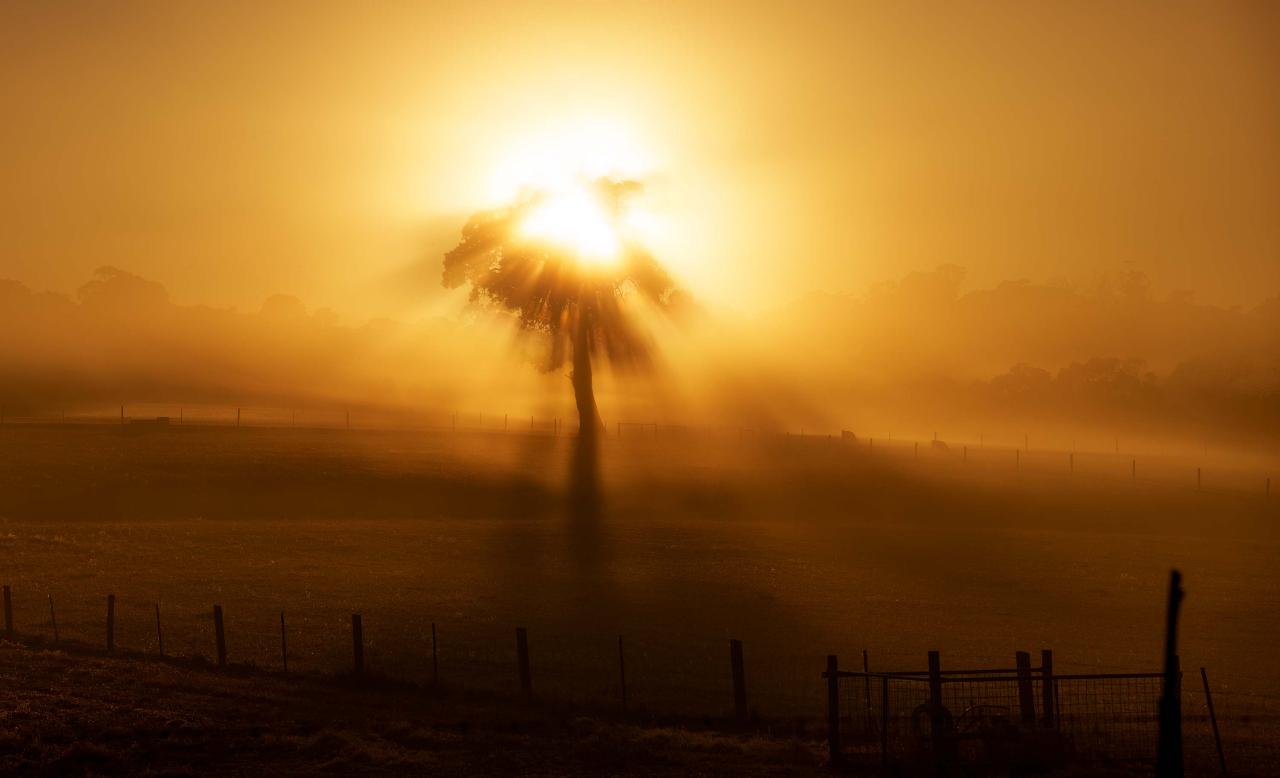 Best of the Adelaide Hills Photography Day Tour