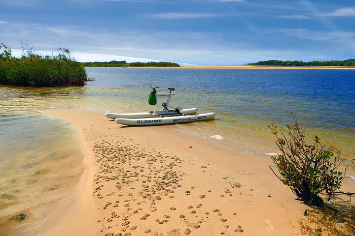 1 Hour Self Guided Water Bike Tour of the Noosa River