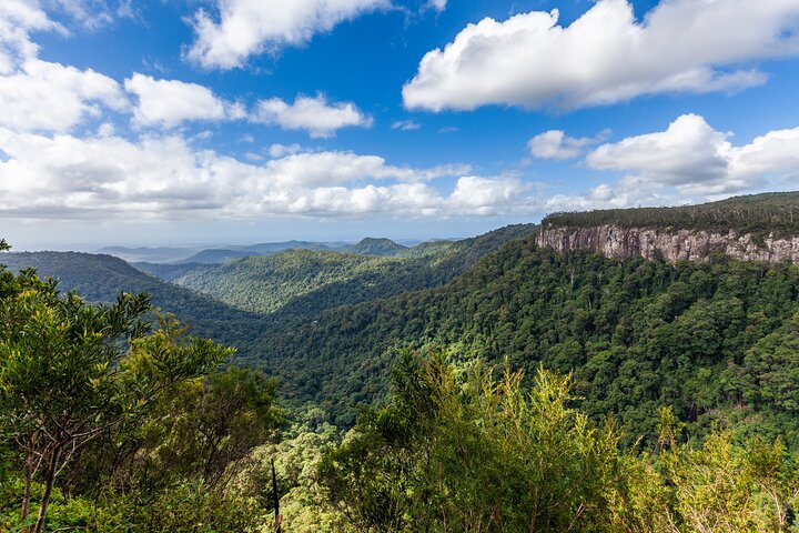 Natural Bridge & Springbrook Waterfalls Tour + Hot Air Balloon with Breakfast