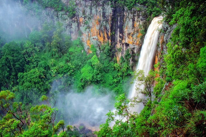 Natural Bridge & Springbrook Waterfalls Tour + Hot Air Balloon with Breakfast