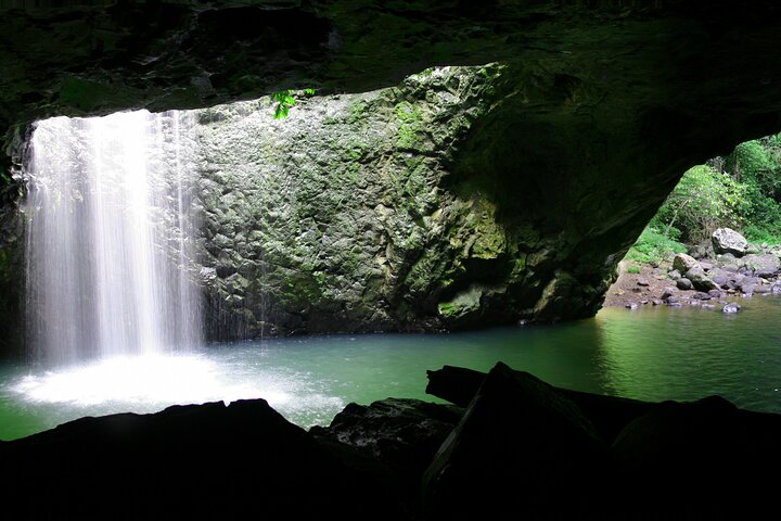 Natural Bridge & Springbrook Waterfalls Tour + Hot Air Balloon with Breakfast