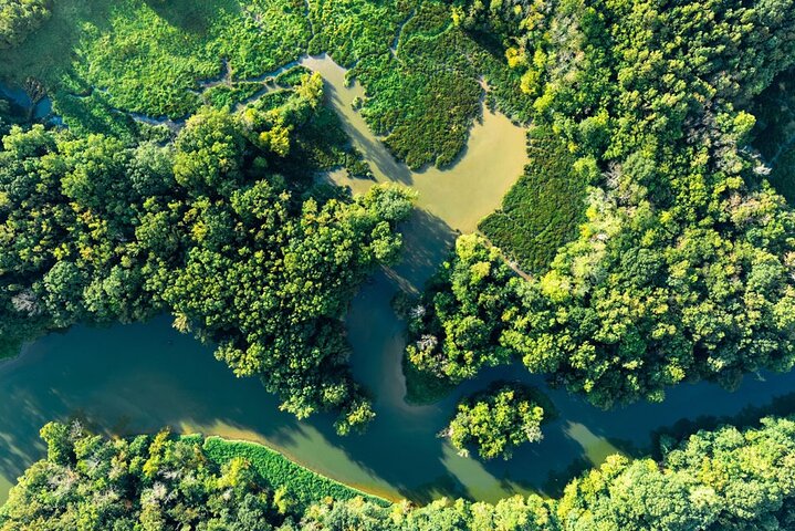 Beyond the Range - 30 min Rainforest Scenic Flight