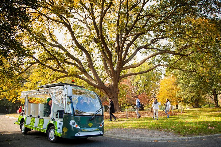 The Explorer - Royal Botanic Gardens Melbourne