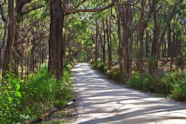 4-Day Yoga Retreat from Adelaide - Fleurieu Peninsula