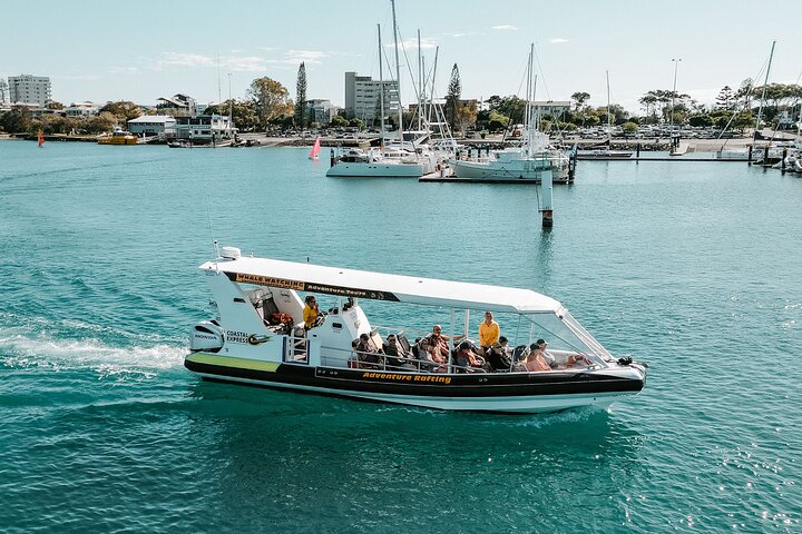 Adventure Whale Watching Tour Mooloolaba