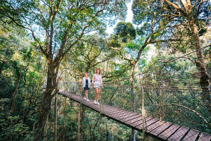 Aquaduck & Your choice of Gold Coast Rainforest Tour