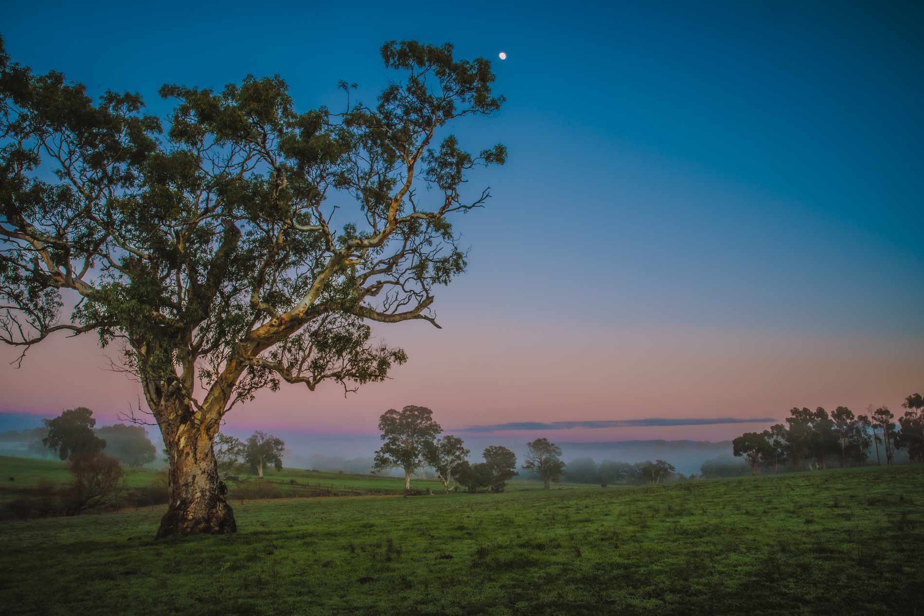 Adelaide Hills Photography Tour