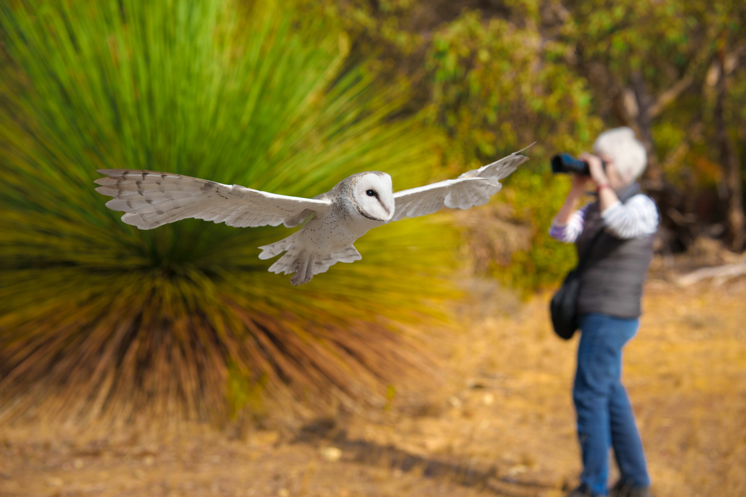 Kangaroo Island Photography Tour