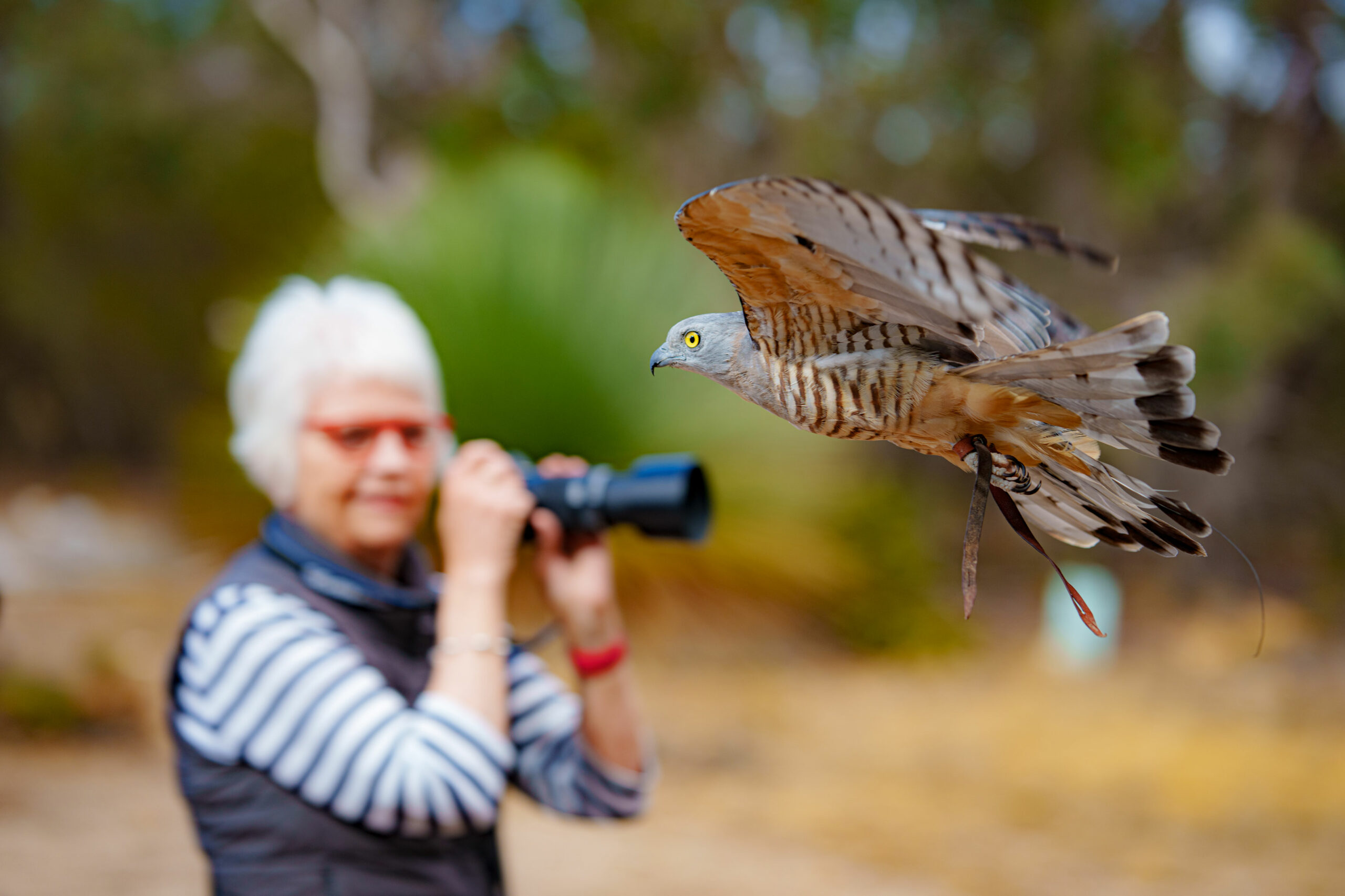 Kangaroo Island Photography Tour