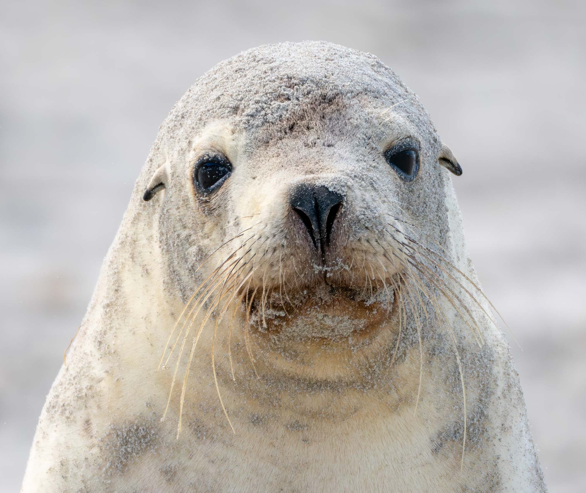 Kangaroo Island Photography Tour