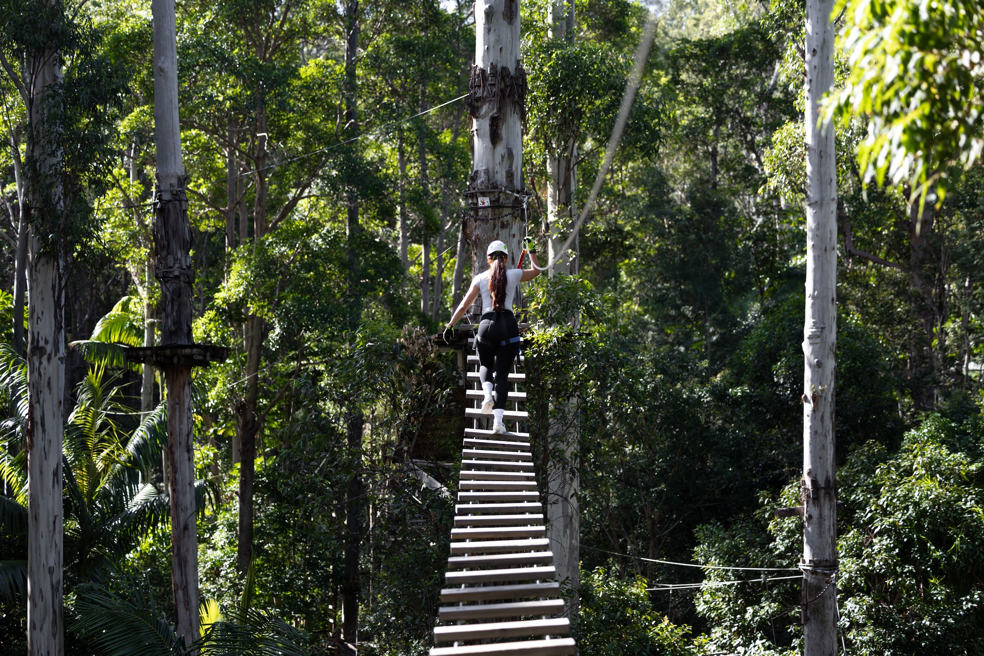 Tamborine Mountain Adventure Park - TreeTop Challenge