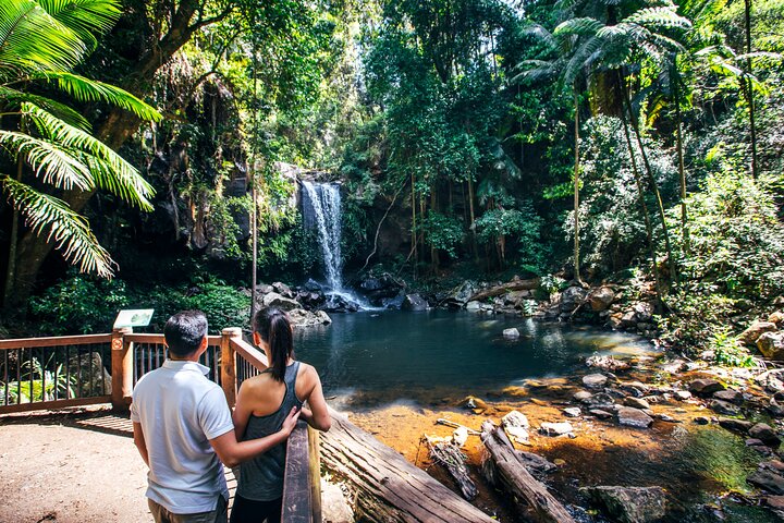 Aquaduck & Your choice of Gold Coast Rainforest Tour