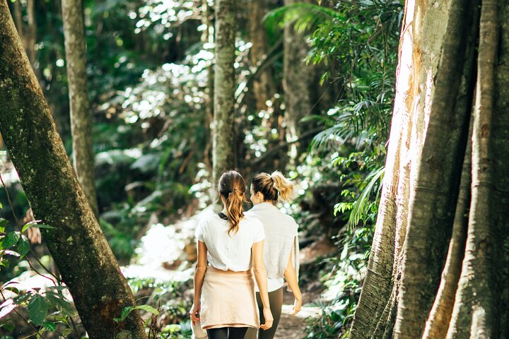 Aquaduck & Your choice of Gold Coast Rainforest Tour