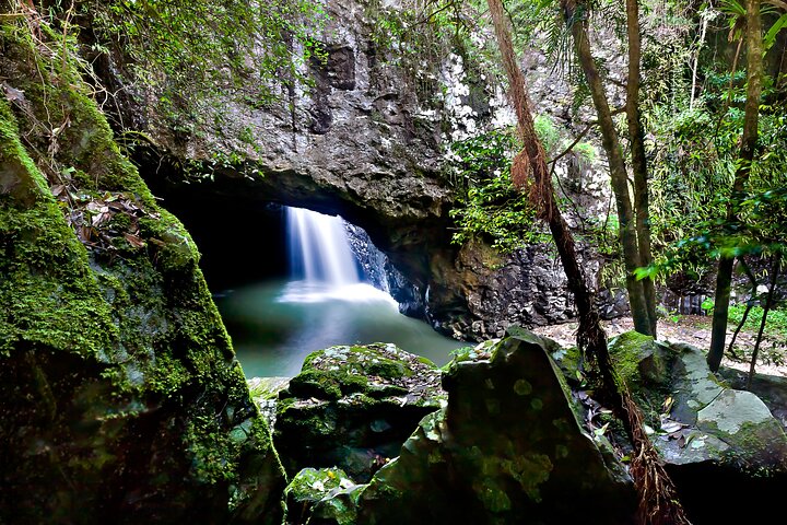 Natural Bridge & Springbrook Waterfalls Tour + Hot Air Balloon with Breakfast