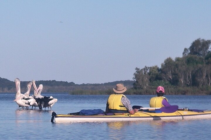 Full-Day Guided Noosa Everglades Kayak Tour