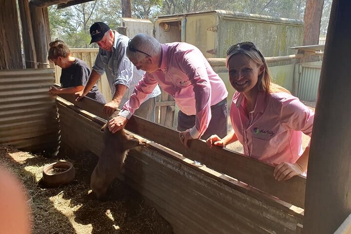 Hunter Valley Exclusive Kangaroo and Wine Tasting Experience