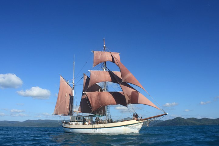 Sydney Harbour Tall Ship Whale & Sail - Whale Watching Cruise