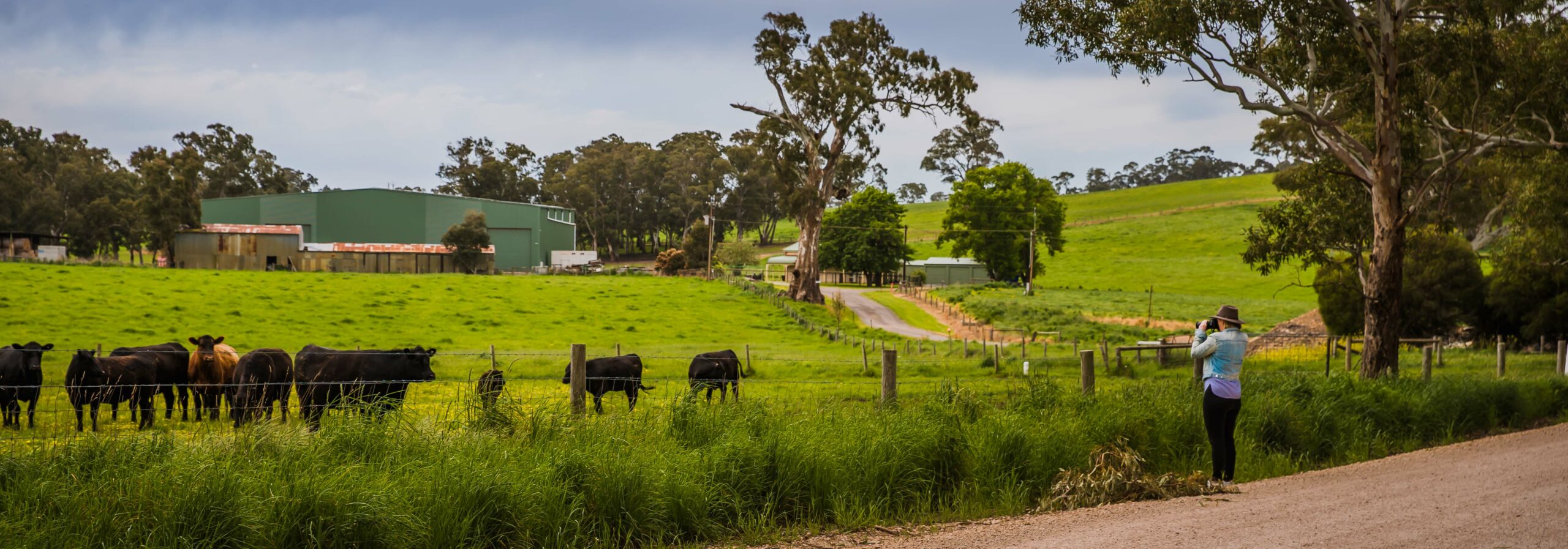 Adelaide Hills Photography Tour