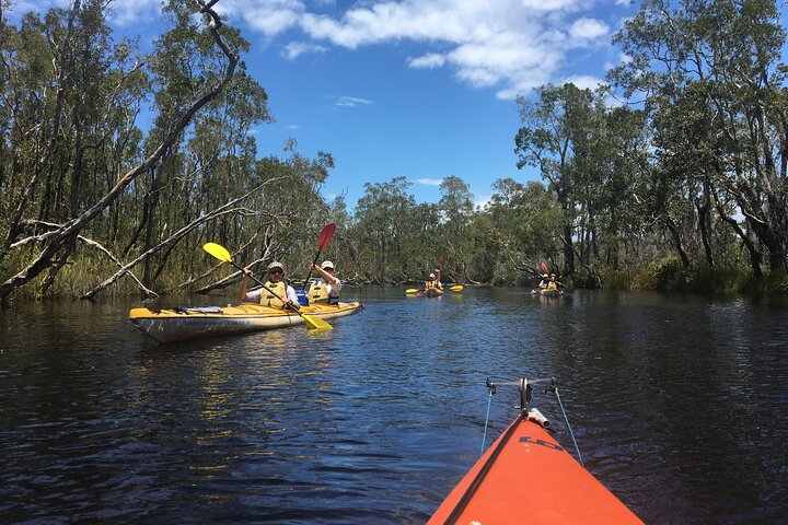 Full-Day Guided Noosa Everglades Kayak Tour