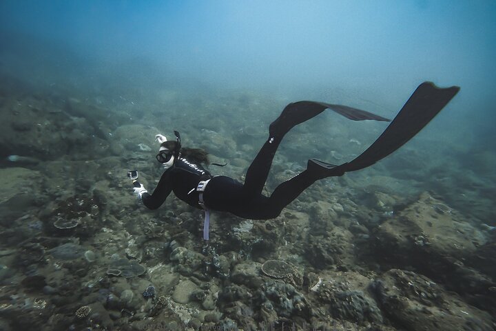 2 Day Freediving Course in Airlie Beach, Whitsundays, Queensland