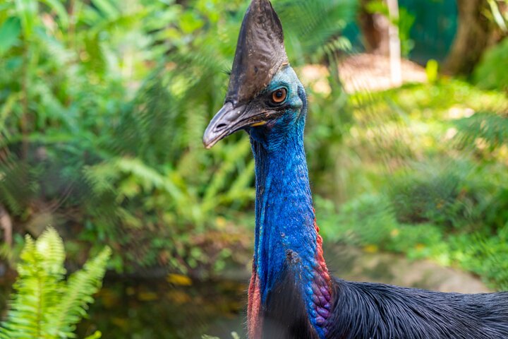 Full Day Cooktown Private Tour