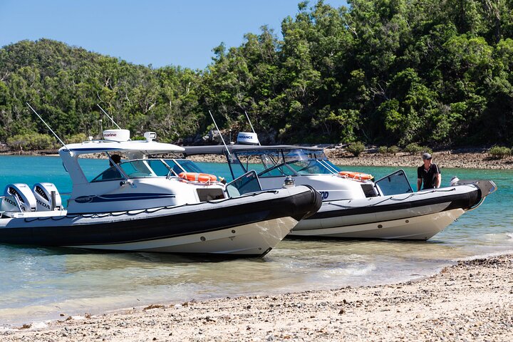 Private Boat Transfer from Hamilton Island to Airlie Beach (Shute Harbour)