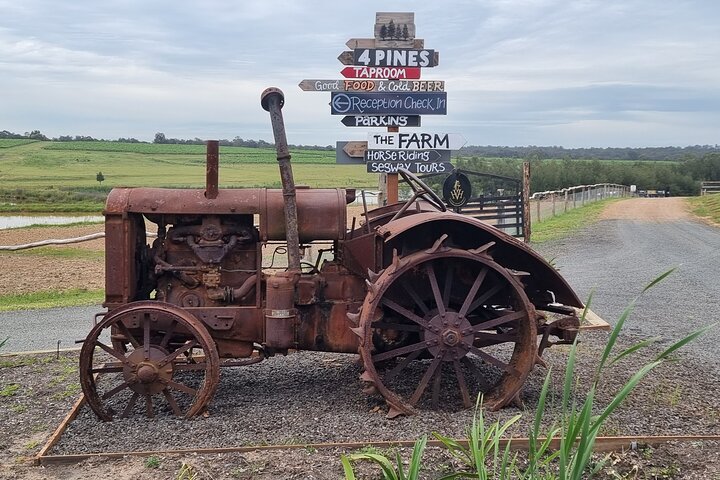 Hunter Valley Exclusive Kangaroo and Wine Tasting Experience