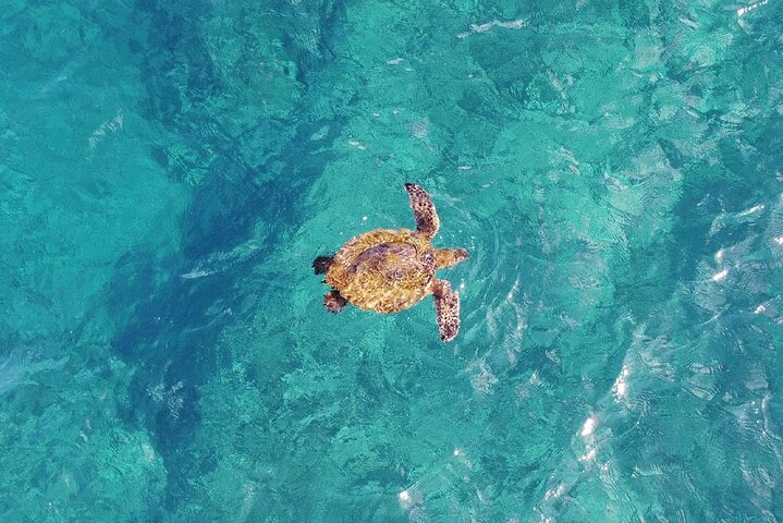 Inner Reef Explorer - 30 min Reef Scenic Private Flight