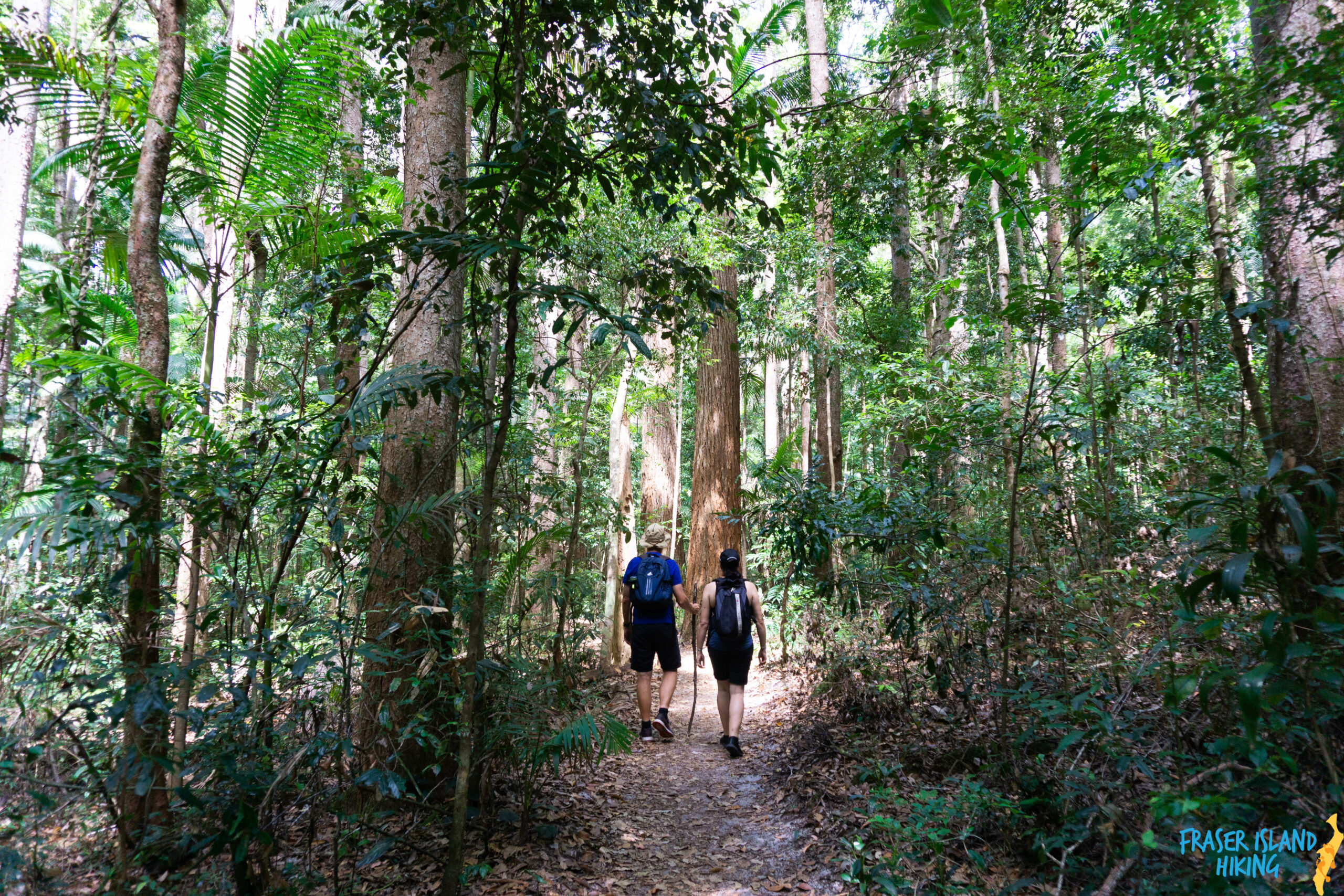 Pack-Free Camping: Rainforest Eco Hike - 3 Days