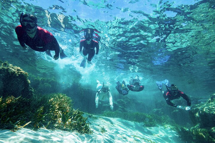 Private Snorkel Experience in Rottnest