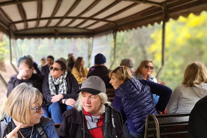 Dwellingup Trains, Trails & Woodfired Delights Full Day Tour