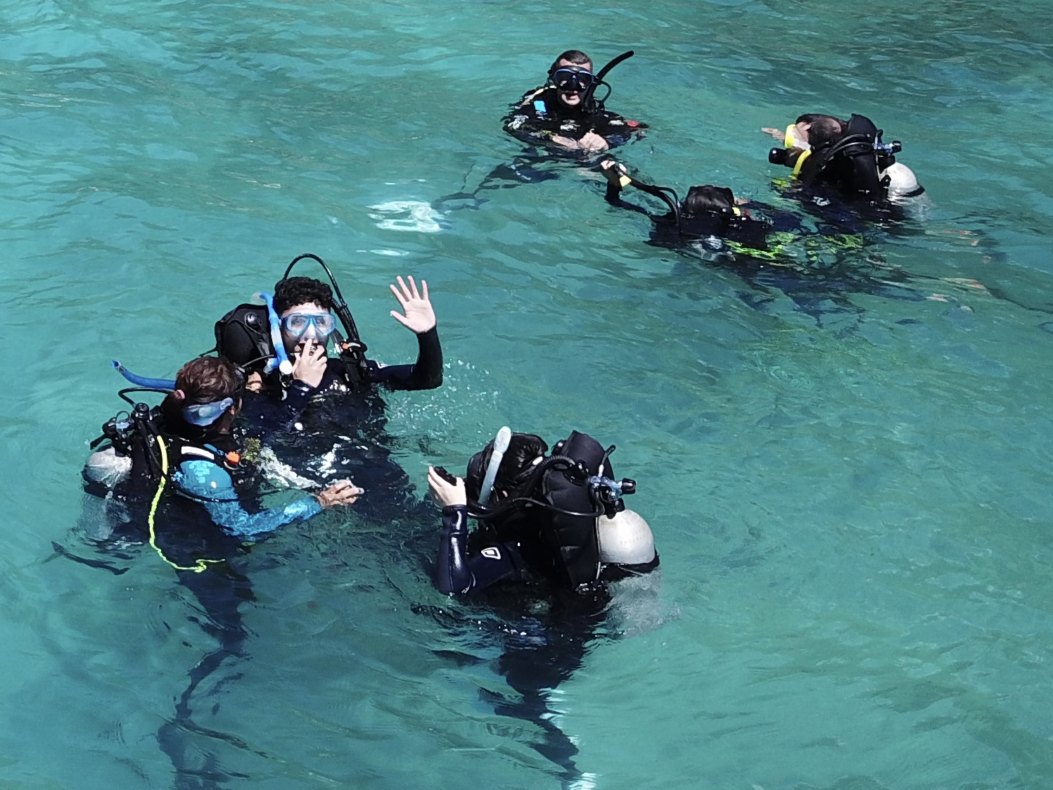 Discover Scuba Diving - one  Uncertified Intro Dive