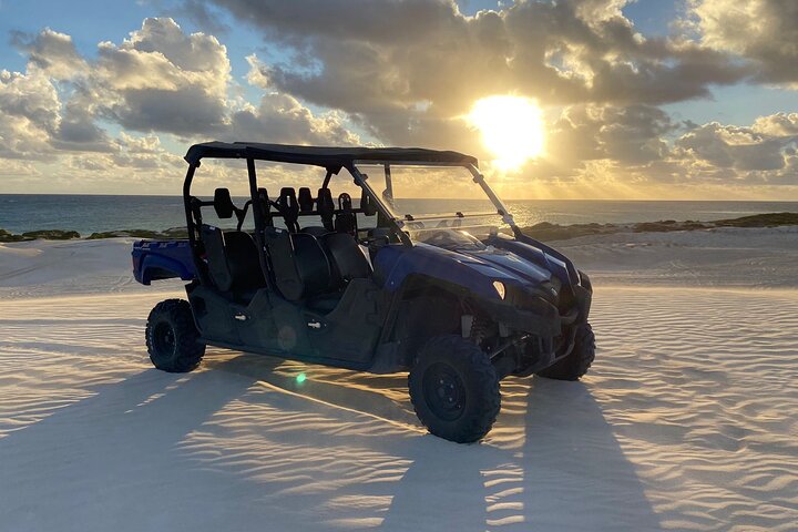 6 seater Buggy 1 Hour Tour + Hour free Sandboard hire for each person