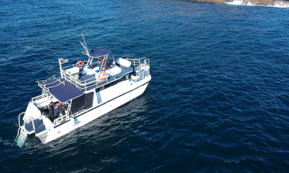 Snorkelling with the Fish Wave Break Island