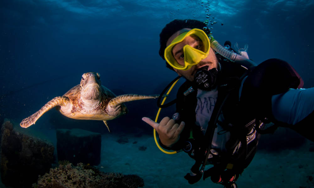 Snorkelling with the Fish Wave Break Island