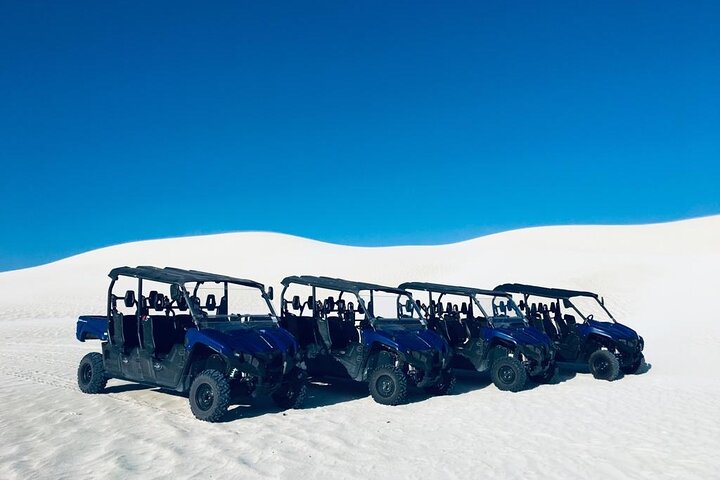 6 seater Buggy 1 Hour Tour + free Sandboard hire for each person