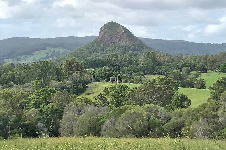 Noosa Hinterland Private Tour from Noosa with Gourmet Lunch and Wine Tasting